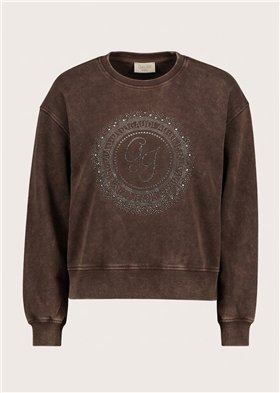 GAUDI Sudadera color marrón con logotipo y pedrería